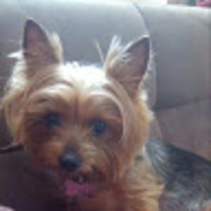 Meet your Posher, Mary